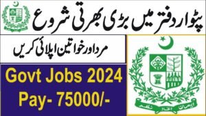  Board of Revenue Punjab Jobs 2024 - TechShinka